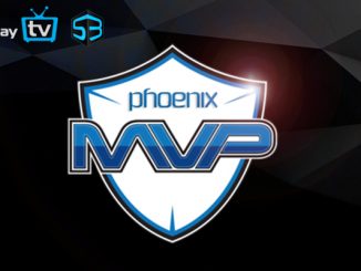 WePlay Dota League Seaon 3 Winners MVP Phoenix