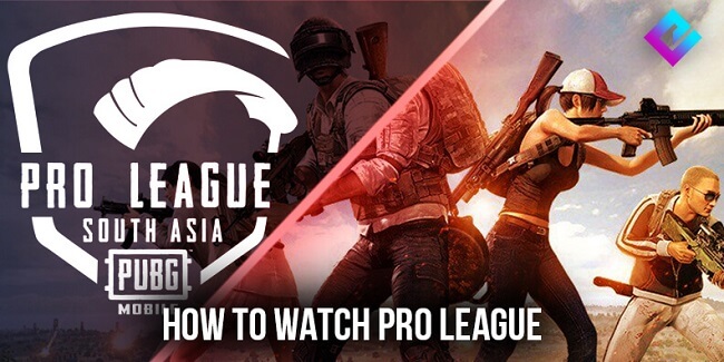 PUBG Pro League